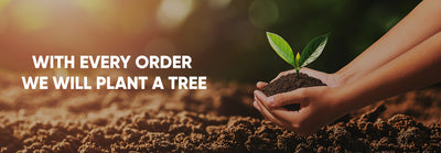 plant tree