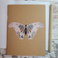 Butterfly moth with leaves, triple moon goddess, other shapes and symbols in pink, brown, green, and blue colors.