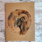 Zodiac Astrology 12-piece Journal Notebook Bundle Complete Set